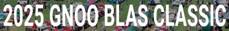 GNOO BLAS CLASSIC.jpg